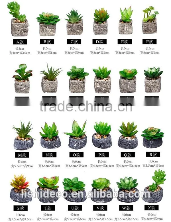 2016 Latest Design Artificial Succulent Pot Succulent Plants For Sale