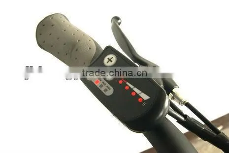 Europe NO1 Sell Aluminum alloy Electric Bike With High Power Motors .36VLithium Battery