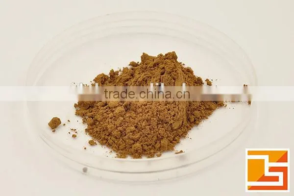 GMP factory supply shitake mushroom extract shitake mushroom powder