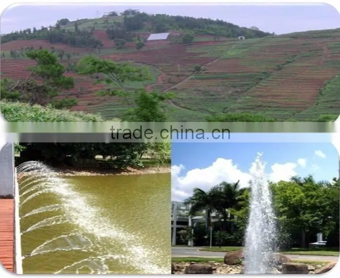 Solar irrigation system for agricultural irrigation