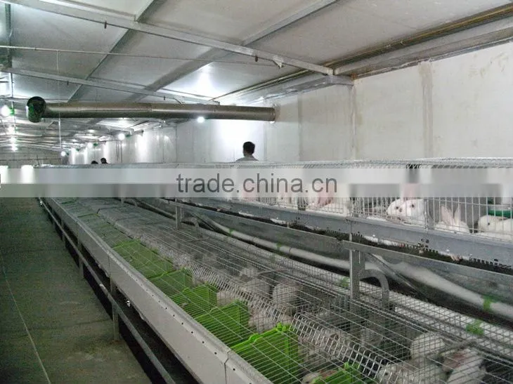 automatic rabbit equipment