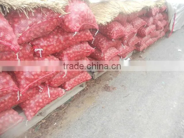red small onion price