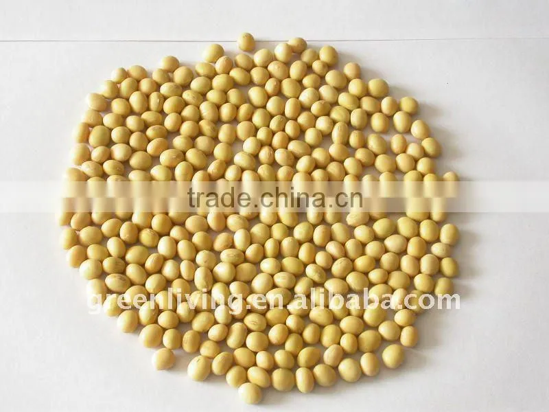 2011 chinese super quality soybean (lowest price)