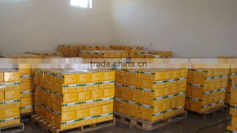 xinjiang raisins dark raisins sultana raisin