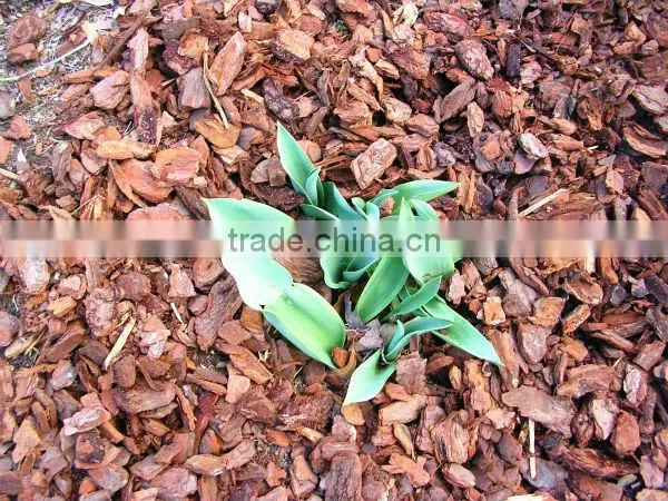 Ornaments Type organic mulch