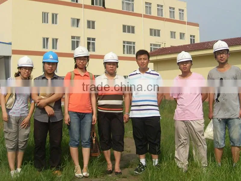 rice protein meal made in china