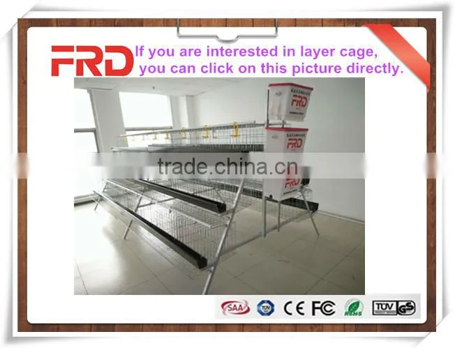 FRD-22528 Full automatic chicken incubator/solar powered egg incubator for sale in india
