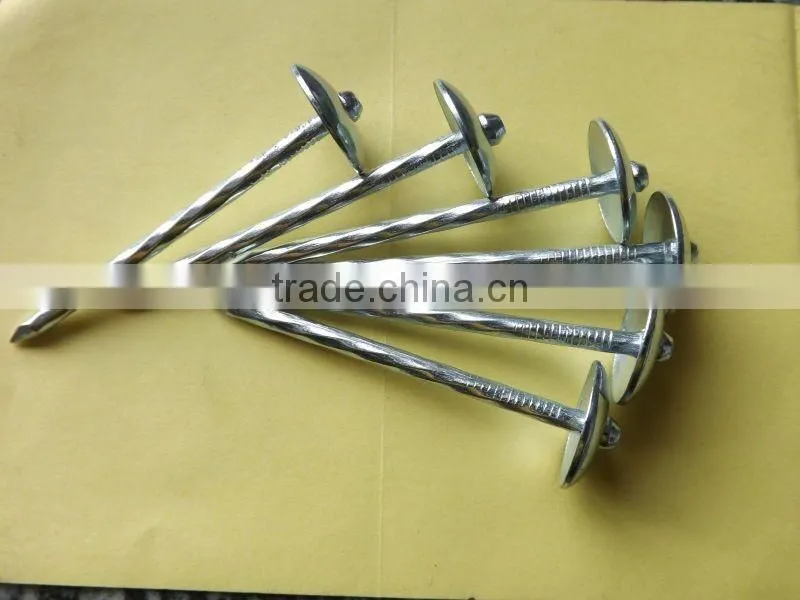 Hot-selling polished common nails / roofing nails / flat head nails