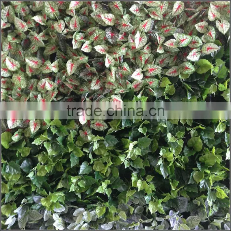 Export outdoor wall plants decoration
