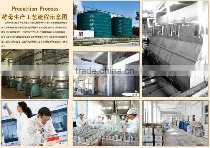 magic brand baking powder supplier