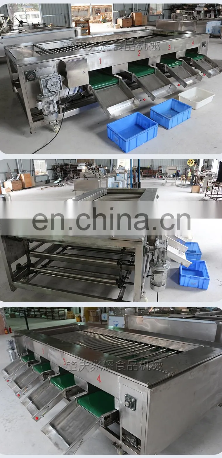 Roller-type fruit sorter longan fruit sorting machine onion vegetable sorting machine potato sorter