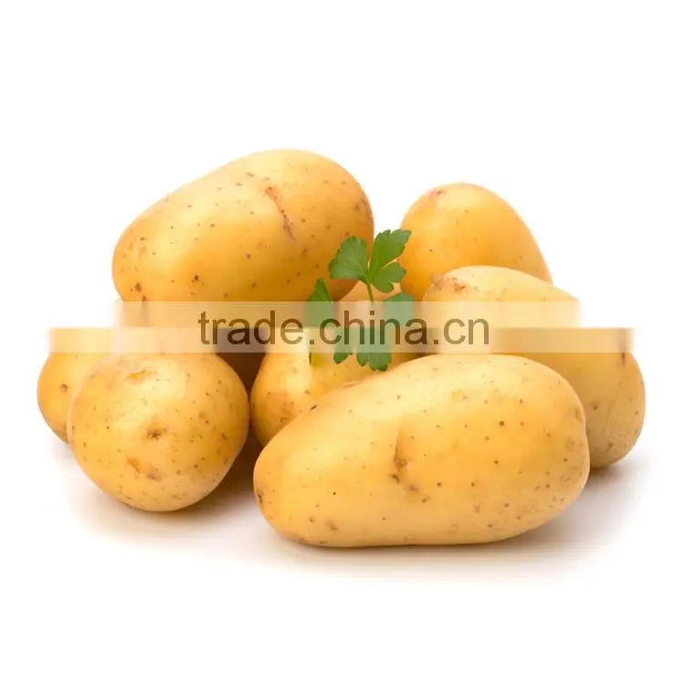 sweet fresh potato