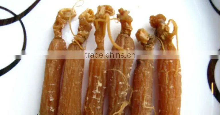 Red ginseng without tails