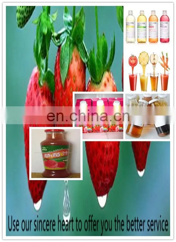 Raspberry Strawberry Juice Processing Machine/Hot Filling Machine