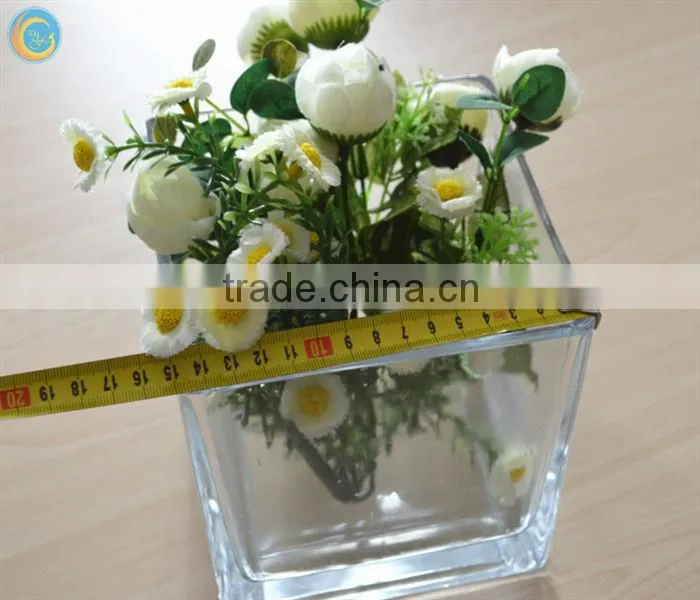 plant pot rectangular glass vase