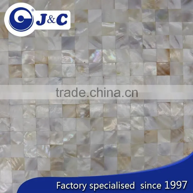 natural varicolored river shell mosaic