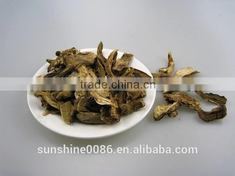 Dried Mushroom