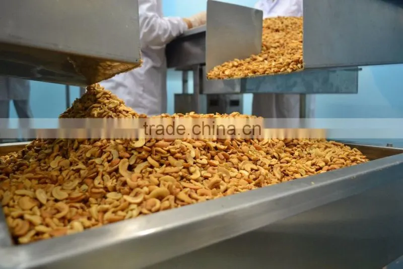 Raw cashew nuts/ Cashew Kernels/ WW320/450/240/LBW/LP/WSLP/DW