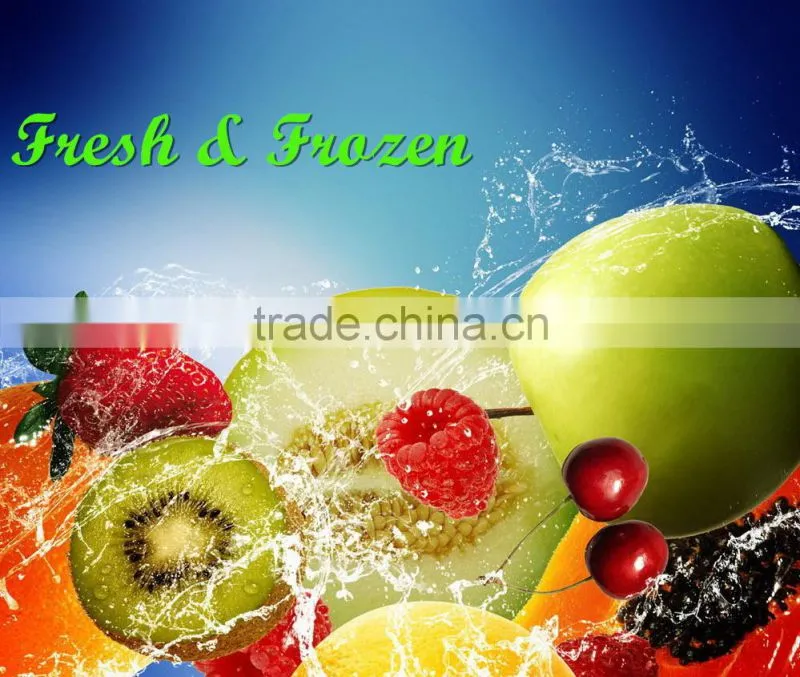 YX-300 Roof top mounted small freezer transport refrigeracion de camiones