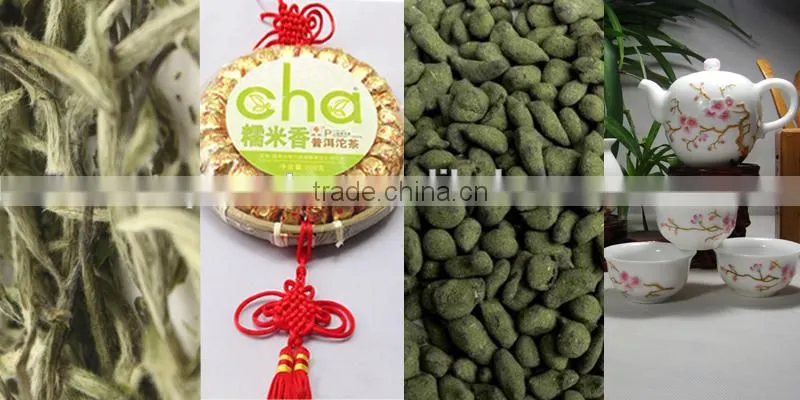 Premium Chinese henan province sharp green tea xinyang souchong maofeng tea xinyangmaojian green tea