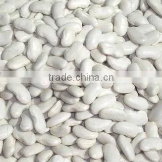 kidney beans