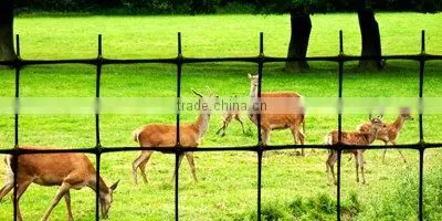 100%pp strong plastic fencing net for deer&chicken manufacture