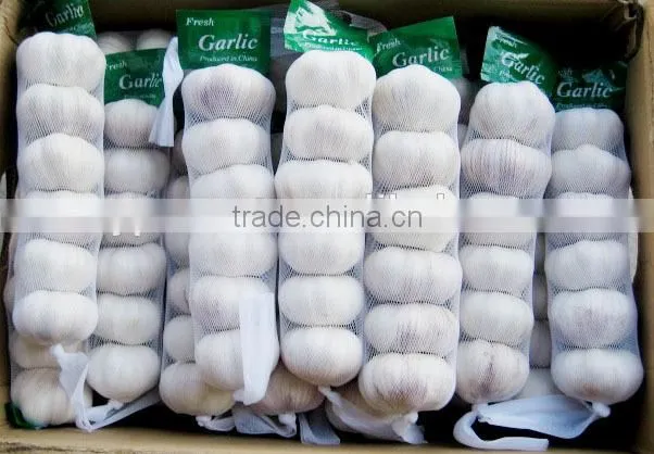 dehydrated garlic flake