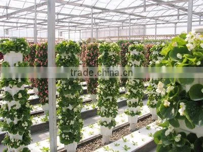 quality greenhouses & shelters for agricultural QDXR14CA001
