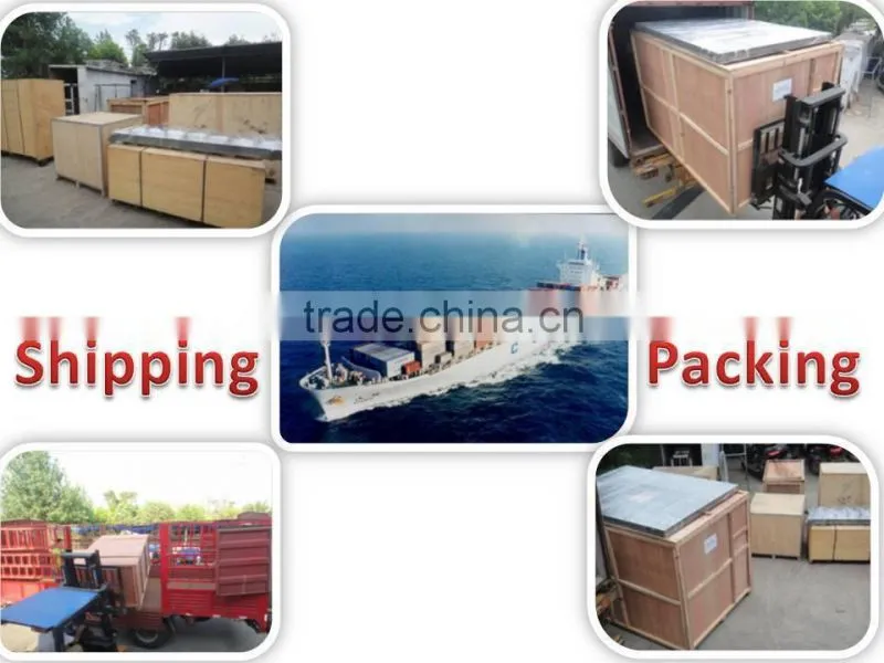 Auto competitive1kg bag packing machine