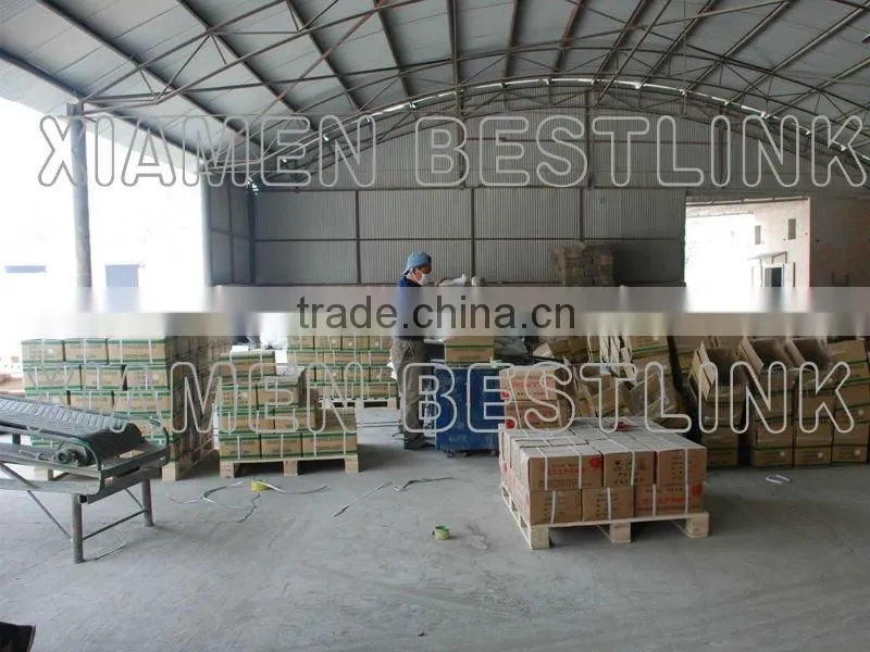 fast splitting and cracking soundless non explosive controlled demolition agent