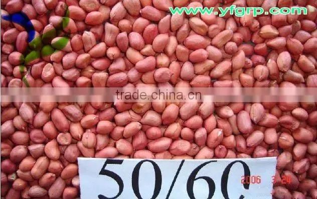 Raw Peanuts in Shell/Groundnuts in Shell for sell