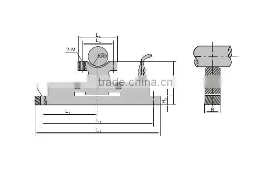 CS-2 TYPE LOAD CELL Sensors load sensor used for transforming the hoist into pendent weigher.