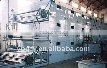 DWT Series No pullution Vegetable Dehydration Dryer for orange/belt dryer