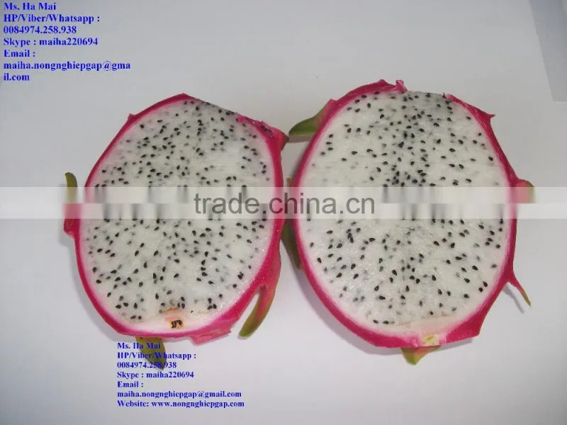100% Natural Fresh Dragon Fruit from Vietnam-Ms Ha 84974258938