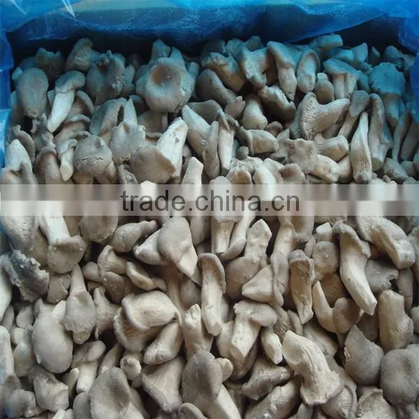 IQF frozen oyster mushroom cubes