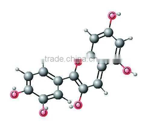 Natural grape seed extract proanthocyanidins Grape Seed Extract