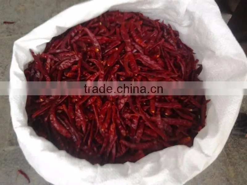 Premium Quality Indian Dry Red Chilli Exporters