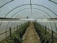 greenhouse polycarbonate film