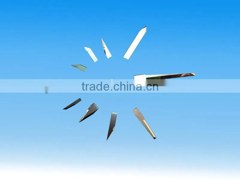 Tungsten Carbide Special Shaped Blade for Cutting Food