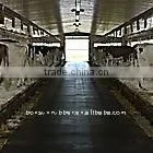 POLYESTER-NYLON insertion Cow/Horse rubber mat