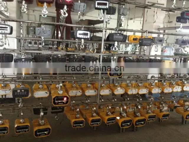 500kgs portable crane scales