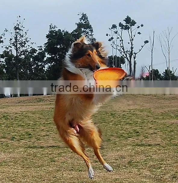 9 inch professional frisbee