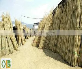 Xiamen Oulay Imp.& Exp. Co., Ltd. company overview - view 2
