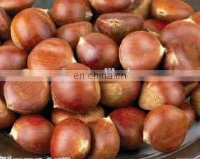 Large capacity automatic deburring chestnut husker machine for sale