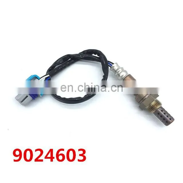 9024603.jpg