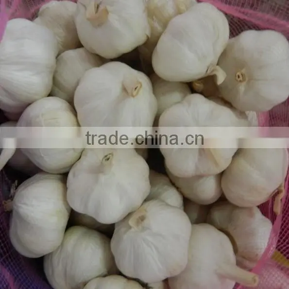 Jinxiang garlic hot sale garlic in 2016 10kg mesh bag packing