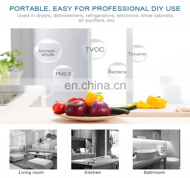 Portable Ionized Air Purifier 10g 12V Car Air Purifier Electronic air purifier industrial ozone generator