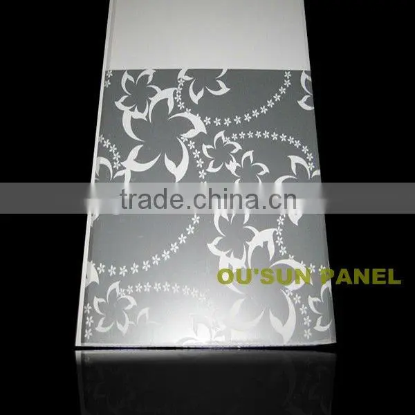 PVC Transparent Plastic Panel