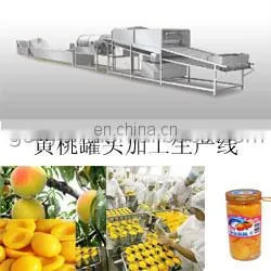full automatic complete canned fruit food Canning /canning processing machine/line/equipment