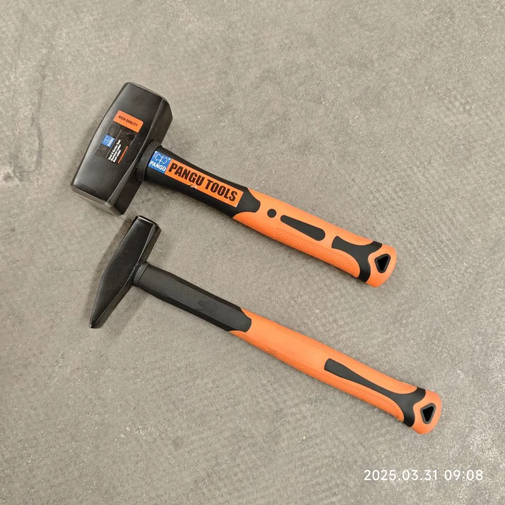 MVIMG_20250331_090837.jpg.webp